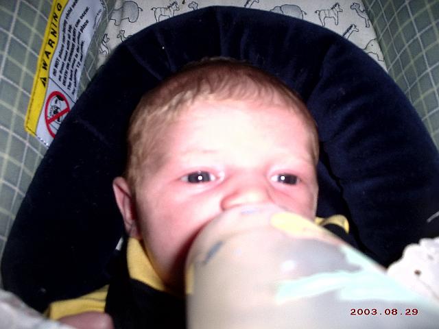 Picture 171.jpg